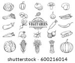 vector hand drawn vegetables... | Shutterstock .eps vector #600216014