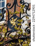 Small photo of The Grays Inn Griffin, on the gates of Inner Temple Gardens - the griffin sculpture is a token of the amity between the two Inns of Court - Inner Temple and Grays Inn, in London.