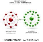 how antioxidant works against... | Shutterstock .eps vector #676545364