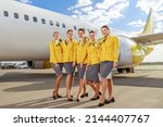 Stewardesses standing near passenger airplane at airport