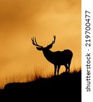 Small photo of Large Mule Deer Buck stag on ridge top skyline silhouette sunrise / sunset photo with space for text / copy Deer & big game hunting season in the western United States