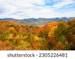 Forested mountain landscape at the peak of fall foliage