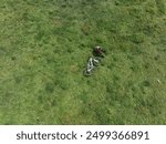 Aerial view of woman riding mountain bike on flowering grassland mountain