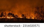 Small photo of El Nino weather phenomenon cause drought and increase wildfire.