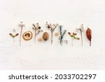 Top view image of autumn forest natural composition over wooden white background .Flat lay. Banner