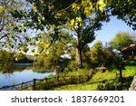 lake in the beautiful wood | Shutterstock . vector #1837669201