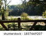 lake in the beautiful wood | Shutterstock . vector #1837669207