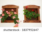 beautiful flowers in the window | Shutterstock . vector #1837952647