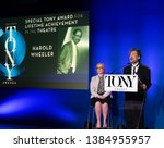 Small photo of New York, NY - April 30, 2019: Heather Hitchens and David Henry Hwang announce 2019 TONY Awards Nominations at New York Public Library for Performings Arts