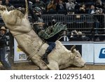 Small photo of New York, NY - January 7, 2022: Jess Lockwood of Volborg, Montana rides a bull during PBR Unleash The Beast at Madison Square Garden