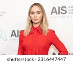 Small photo of Emily Blunt attends American Institute for Stuttering 17th Annual Gala at 583 Park Avenue in New York on June 12, 2023