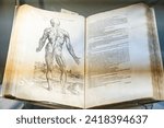 Small photo of Andreas Vesalius, De humani corporis fabrica libri septem book with his own annotations seen during press preview ahead of auction on Christie's in New York on January 26, 2024