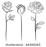 Three Roses In Hand Drawn Style