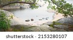 Small photo of Evergreen forest near the rocky seashore of the Hanko Peninsula, Gulf of Finland. Green trees, plants, stones, moss and fern. Pure nature, ecotourism, travel destinations, environmental conservation