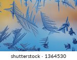 ice crystals on window | Shutterstock . vector #1364530