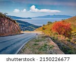Splendid autumn scene of Adriatic shore with empty asphalt road and red tree on the side. Captivating morning landscape of Albania, Europe. Traveling concept background.