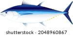 Atlantic Bluefin Tuna Fish In...