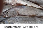 Small photo of Argyrosomus regius (also known as meagre, croaker, jewfish, shade-fish, corvina, salmon-bass or stone bass)