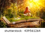 Magical Cartoon Mushroom House...