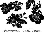 vector silhouette set of botany.... | Shutterstock .eps vector #2156791501