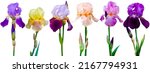 Collection iris flower isolated ...