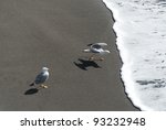 Seagulls On The Beach While...