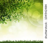 green grass and leave... | Shutterstock . vector #104542484