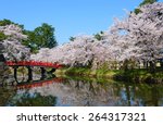 Cherry Blossoms At The Hirosaki ...