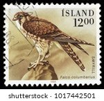 Small photo of LUGA, RUSSIA - JANUARY 16, 2018: A stamp printed by ICELAND shows the Merlin (Falco columbarius) - a small species of falcon once known colloquially as a pigeon hawk, circa 1986