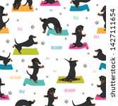 Yoga Dogs Poses And Exercises....