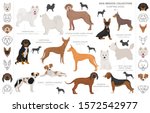 Hunting Dog Vector Clipart image - Free stock photo - Public Domain ...