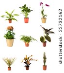 collection of isolated flowers... | Shutterstock . vector #22732162