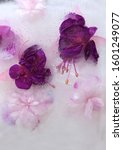 Small photo of Background of pink balsamine and purple fuchsia flower, grain of coffee in ice cube with air bubbles. Flat lay consept for valentine's day card.