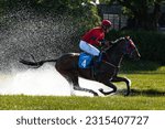 Small photo of WROCLAW, POLAND - JUNE 4; 2023: Racecourse WTWK Partynice. International race with obstacles for four years old horses. Jockey Niklas Loven on horse Et Tu Brute.