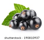 black currant berry isolated on white