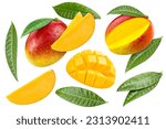 Small photo of Flying ripe mango with green leaves isolated on white background. Mango collection with clipping path. Mango stack full depth of field macro shot.