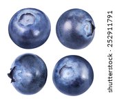 Blueberries Isolated 