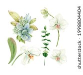 Botanical Watercolor Set With...