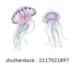Jellyfish Marine Animal...