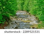 Small photo of The Starzlach torrent, a left tributary of the Breitach rivulet, here near Oberstdorf in the Allgaeu region of Bavaria, Germany, Europe.