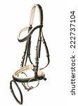 Beautiful  Bridle With Bit...