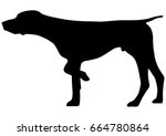 german shorthaired pointer... | Shutterstock .eps vector #664780864