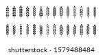 set of wheat ears icons and... | Shutterstock . vector #1579488484