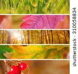 Set Of Different Autumn Banners ...