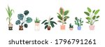 home plants in flowerpot.... | Shutterstock .eps vector #1796791261