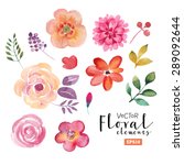 vector floral set. colorful... | Shutterstock .eps vector #289092644