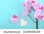 pink orchid and wooden white... | Shutterstock . vector #1029058354