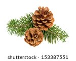Pine Cones With Branch On A...