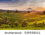 Rice terraces in mountains at sunrise, Bali Indonesia