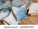 Small photo of Covered with green mold, spoiled toast bread, spoiled food covered with mold